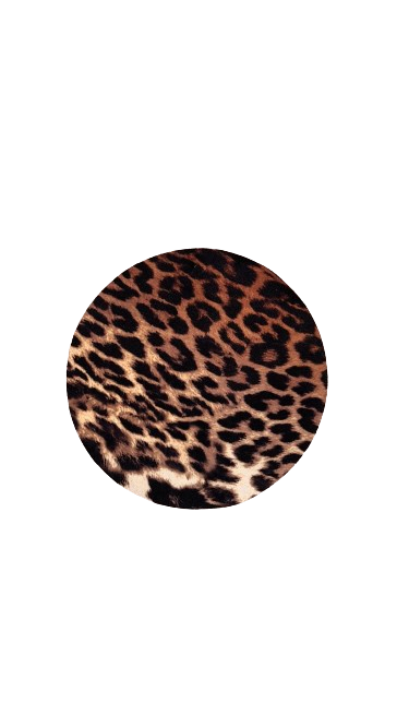 Fru Fru Leopard Print Triangle Bikini Set - close-up of design and pattern