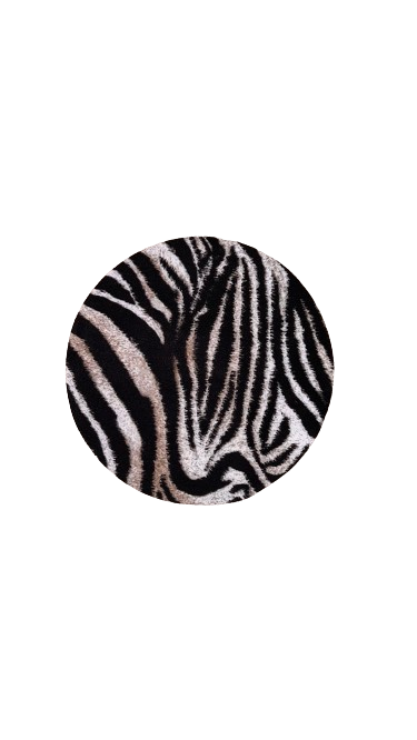 Fru Fru Zebra Print Triangle Bikini Set - close-up of design and pattern